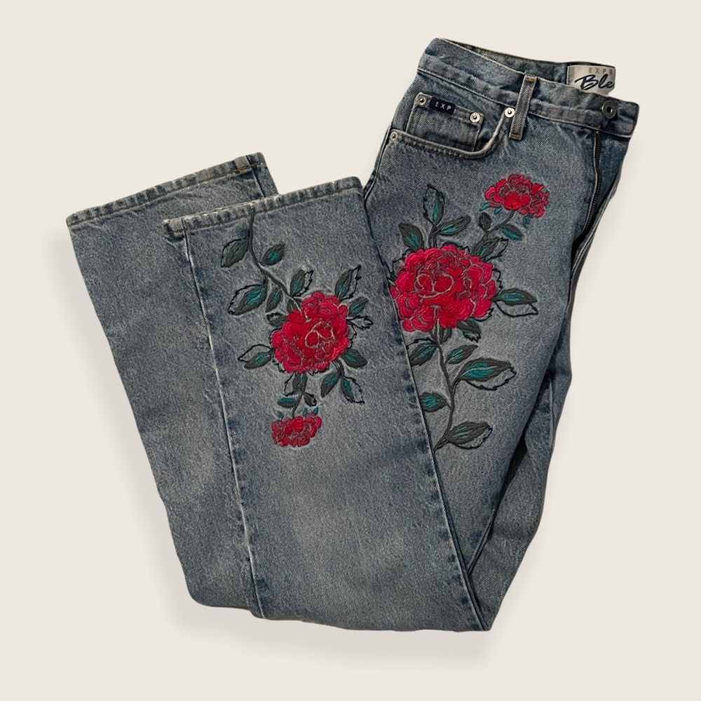 Express Embroidered Jeans